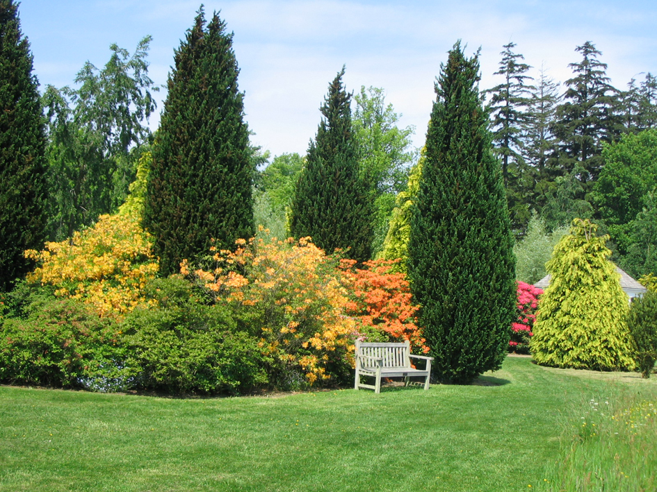 Ландшафтный дизайн