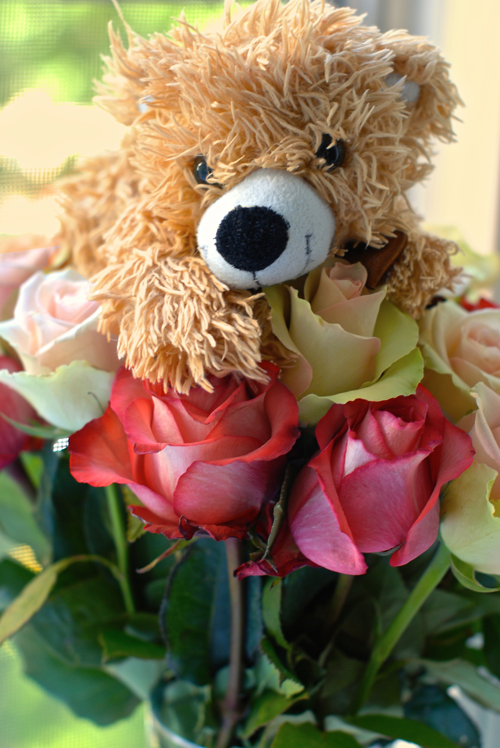 Трям! Здравствуйте!