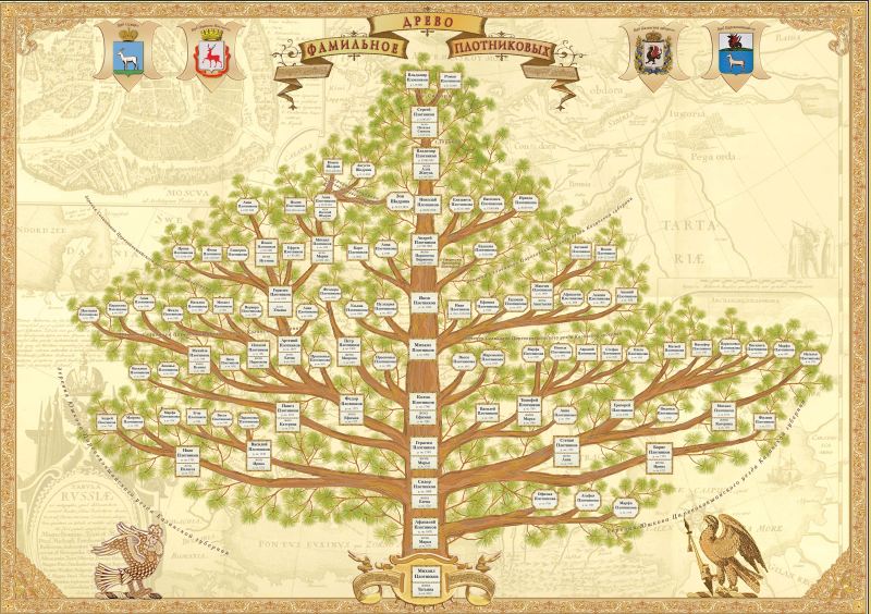 Репортаж о проекте "Ваше Родословие"