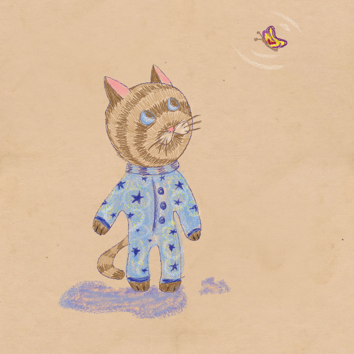 Проект "Приключения летающего кота Стефано"