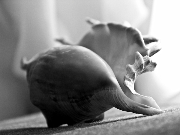 натюморт - 2