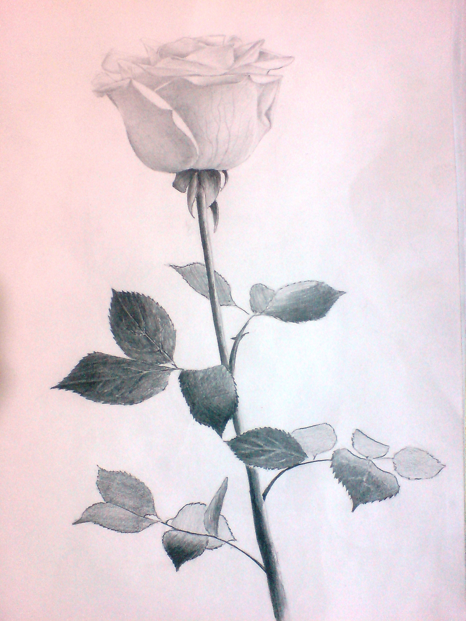 черновики 3