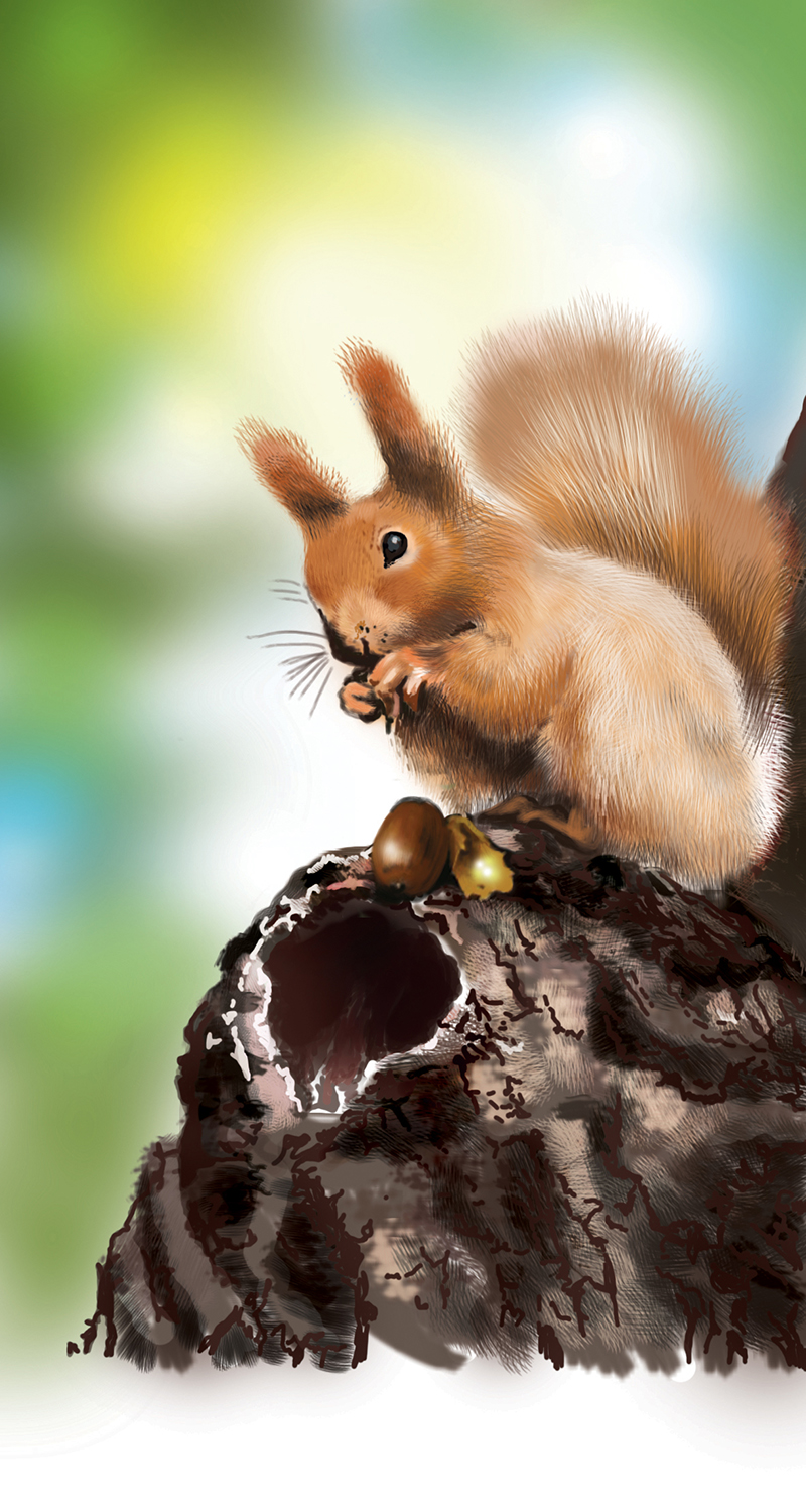 Одна из работ для концепции оформления банковских продуктов