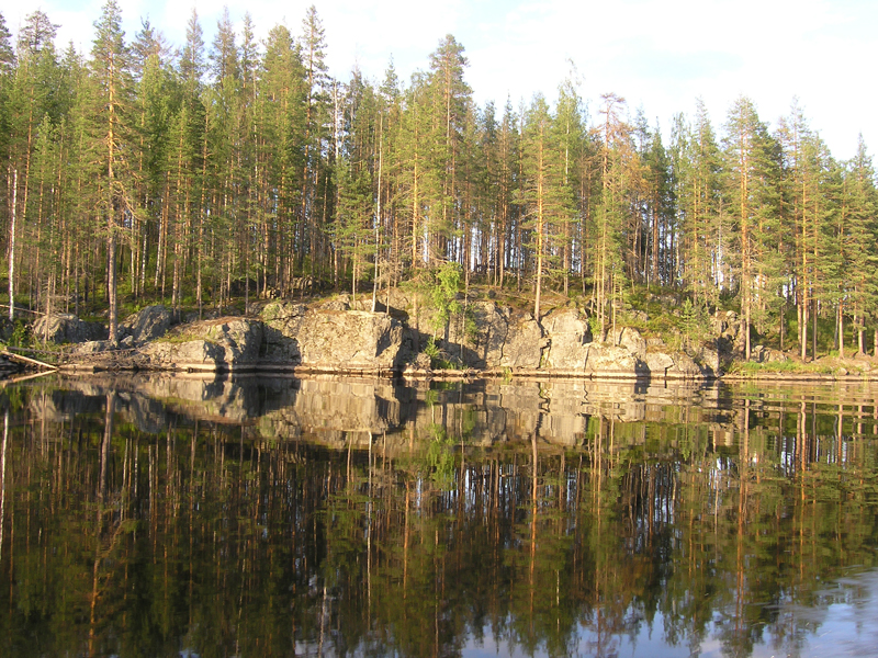 Зеркальное отражение