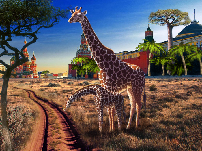 Коллаж "Красная площадь"