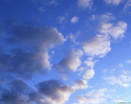 CyberDJ - Summer Orchestra