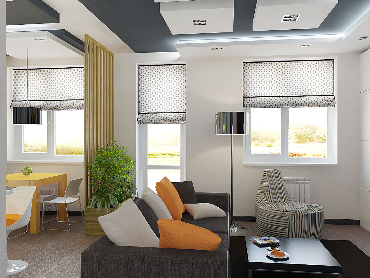 Гостиная с кухней в частном доме