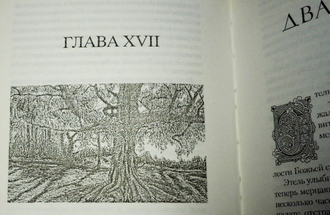 Иллюстрация к книге Д. Бейкер "Небесные мечи"