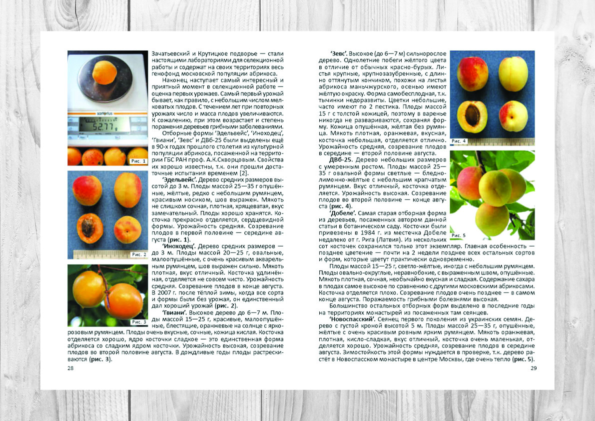 Вёрстка сборника докладов