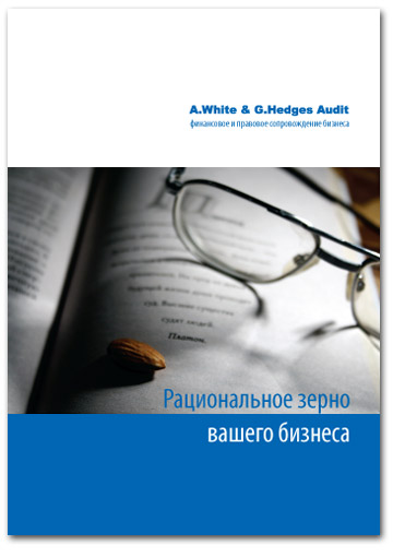 Буклет аудиторской компании