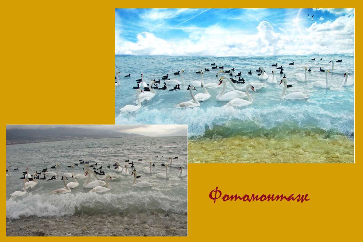 фотомонтаж