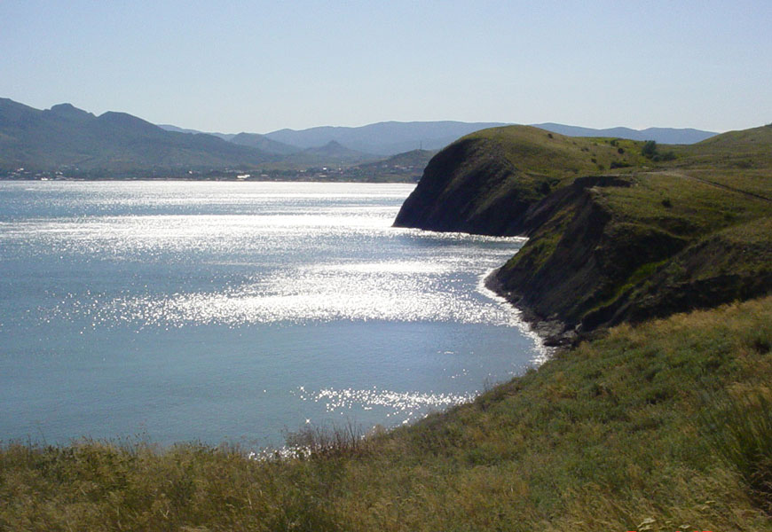 Без названия