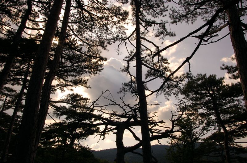 Почти графика ;)