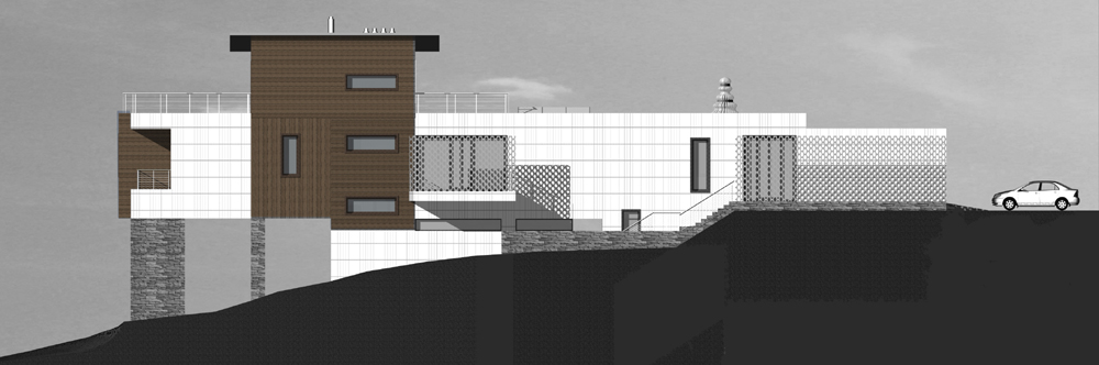 частный жилой дом "дом на столбах"