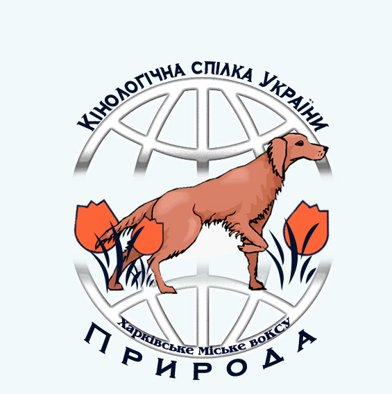 Логотип клуба 002