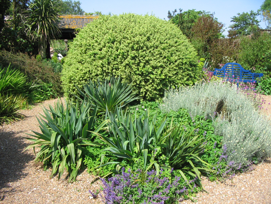 Ландшафтный дизайн