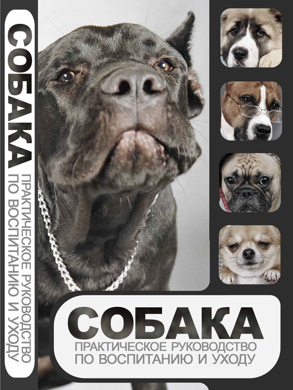 обложка+корешок