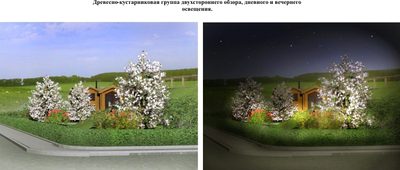 Визуализация древесно-кустарниковой группы в котеджном посёлке