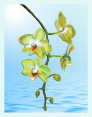 ветка орхидеи