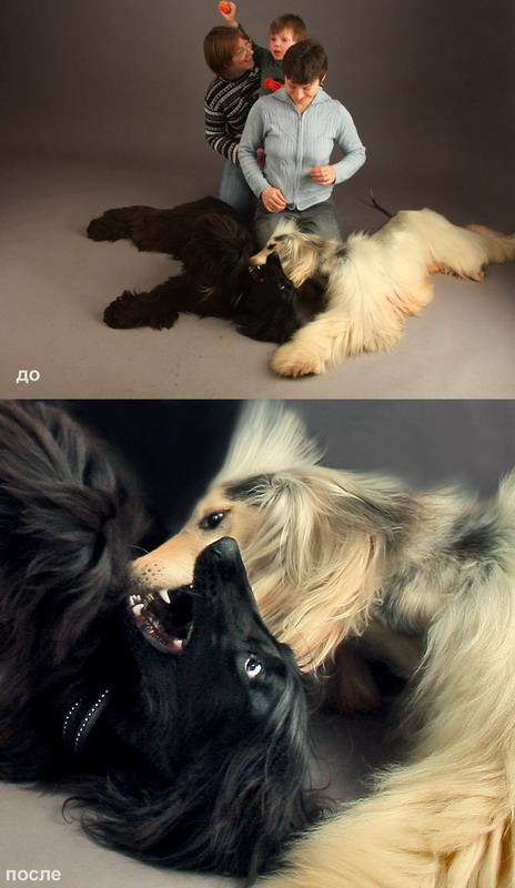 Ретушь и цветокоррекция