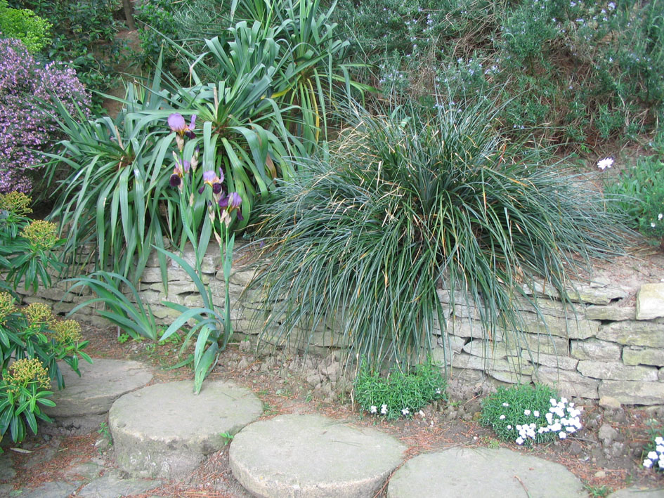 Часть Ландшафта