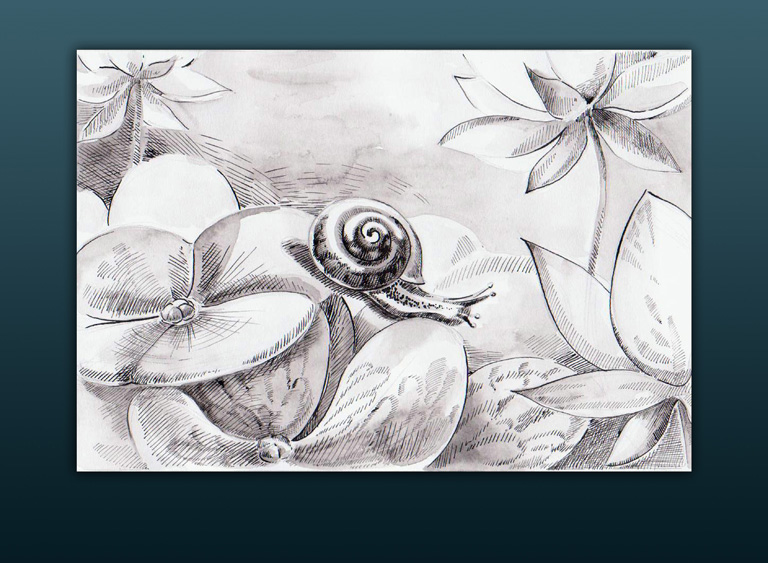 Из серии "Улитки"