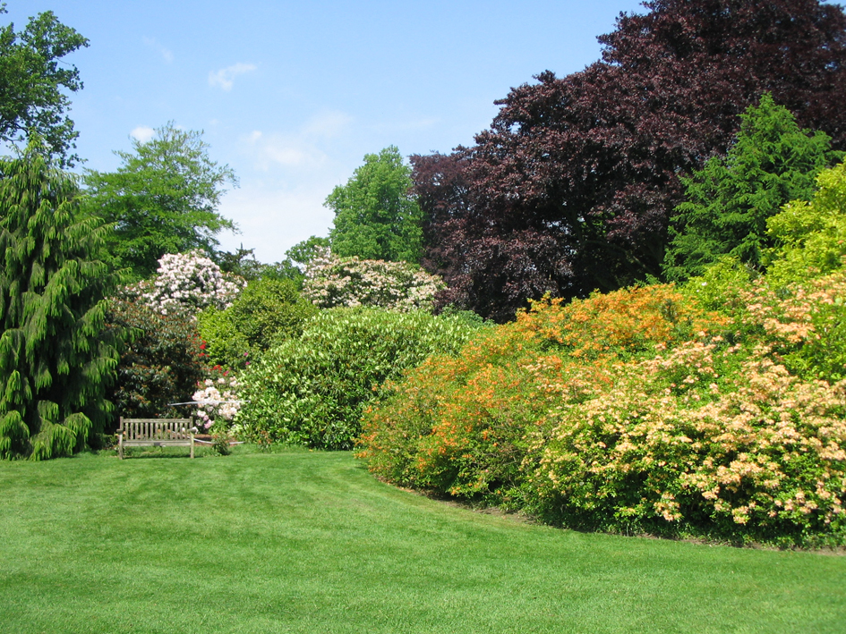 Игра красок