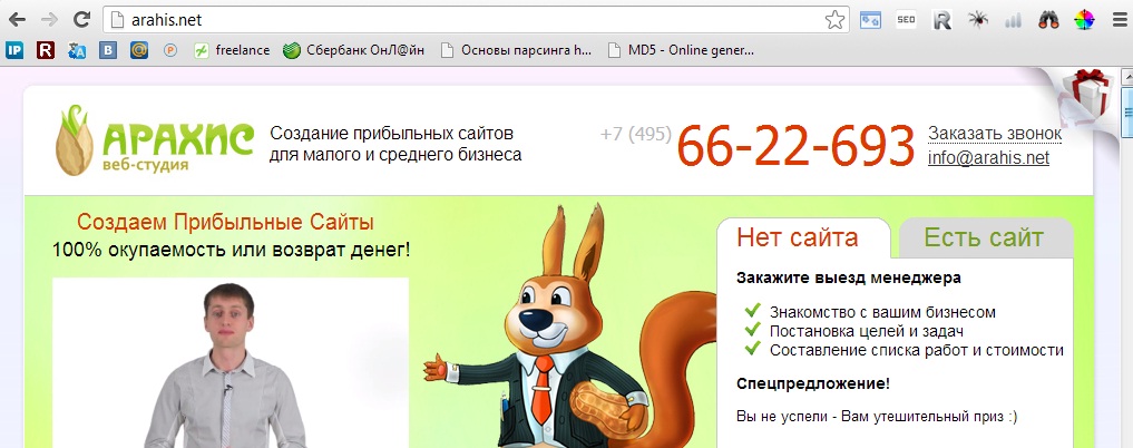 Поддержка сайта arahis.net