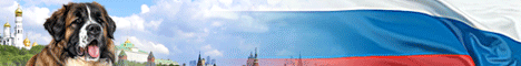Баннер "МОСКОВСКАЯ СТОРОЖЕВАЯ"