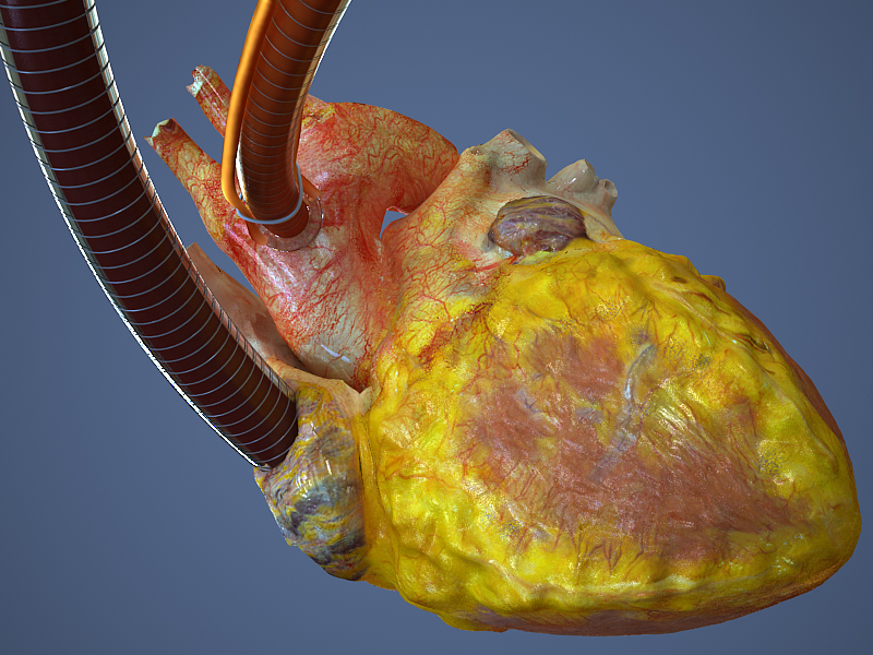 Визуализация для науки