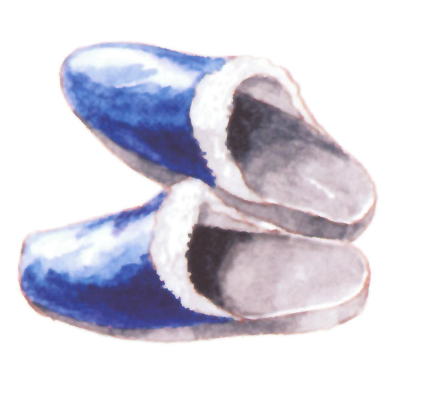 акварель "тапки"