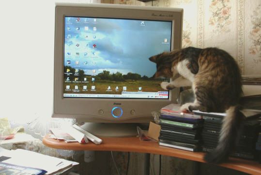 "Куда же ты?"