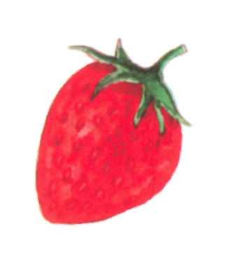 акварель "ягода"