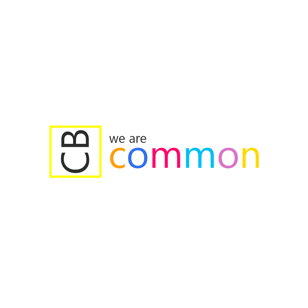 Common.Su: Логотип (2014)