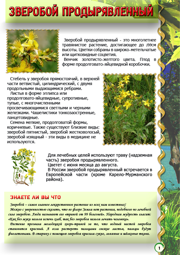 Верстка страницы книги