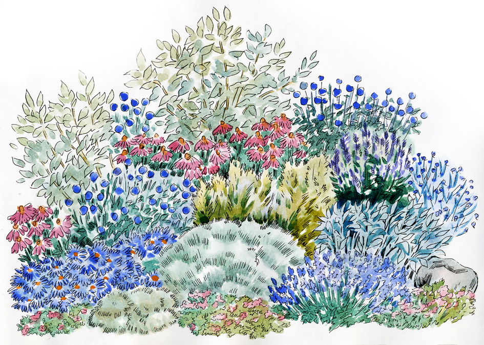 рисунок для журнала "Дом и сад"