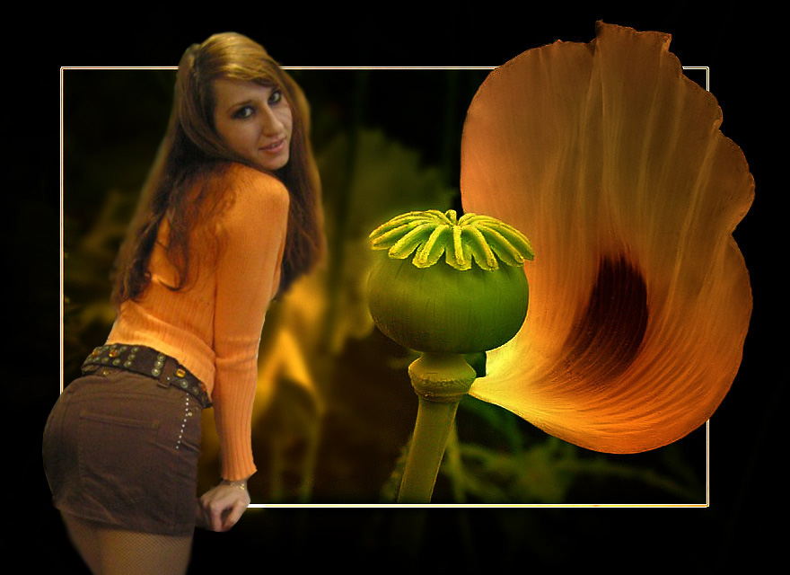 Фотоподстановка