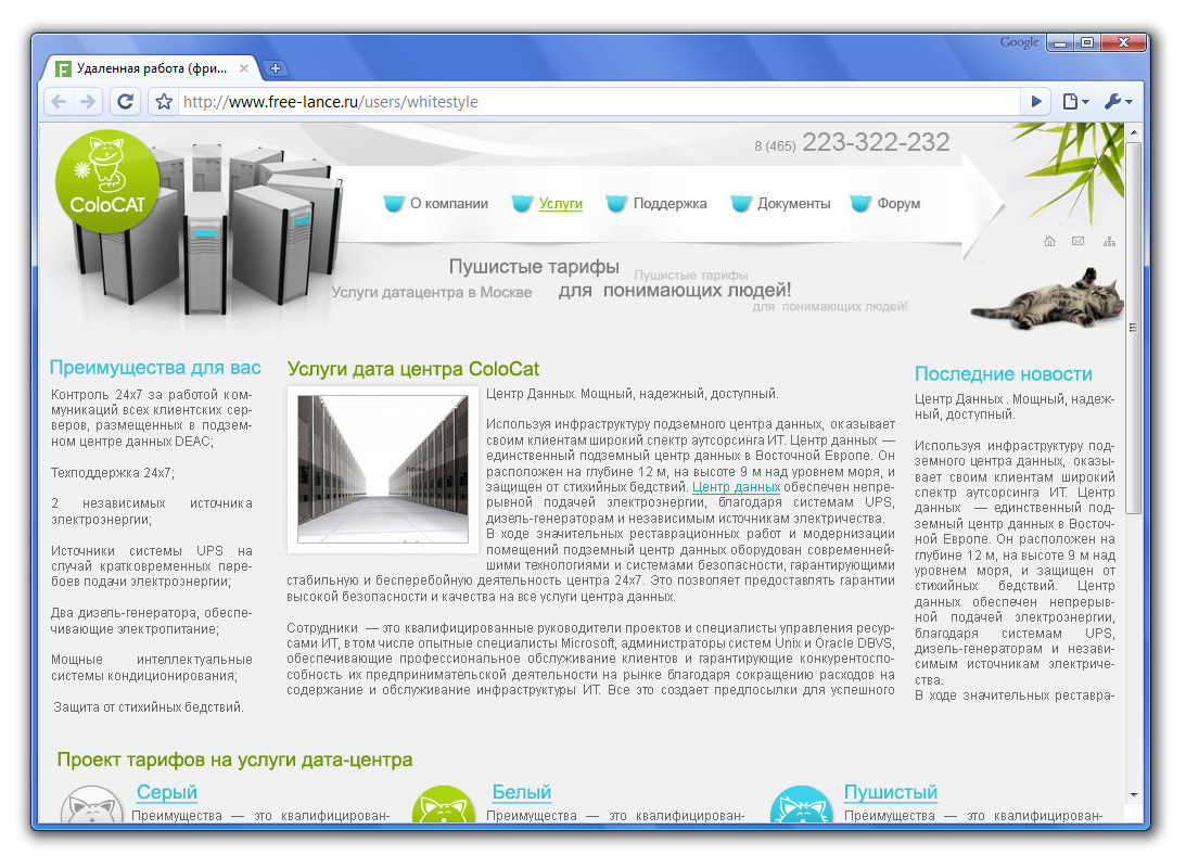 «Хостинговая компания» (2008г.)