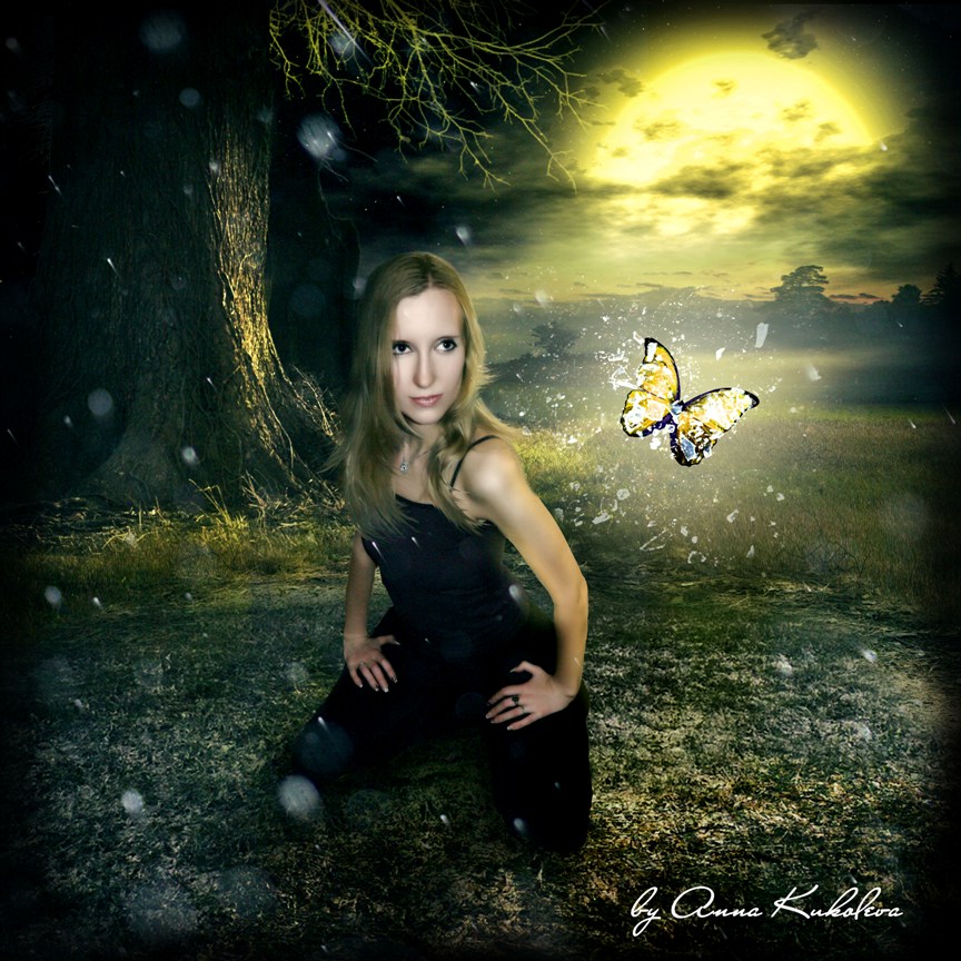 Осколки бабочки