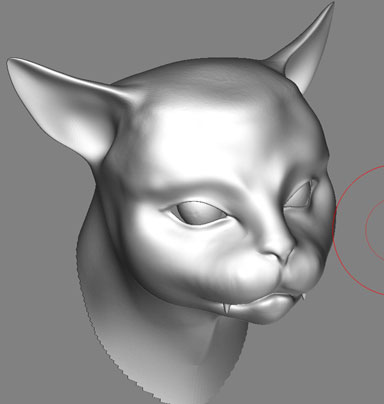 Модель Кот (портрет)