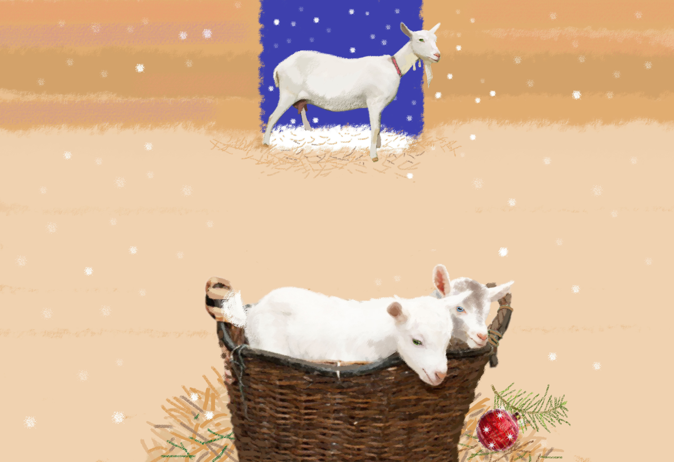 Иллюстрация к книге