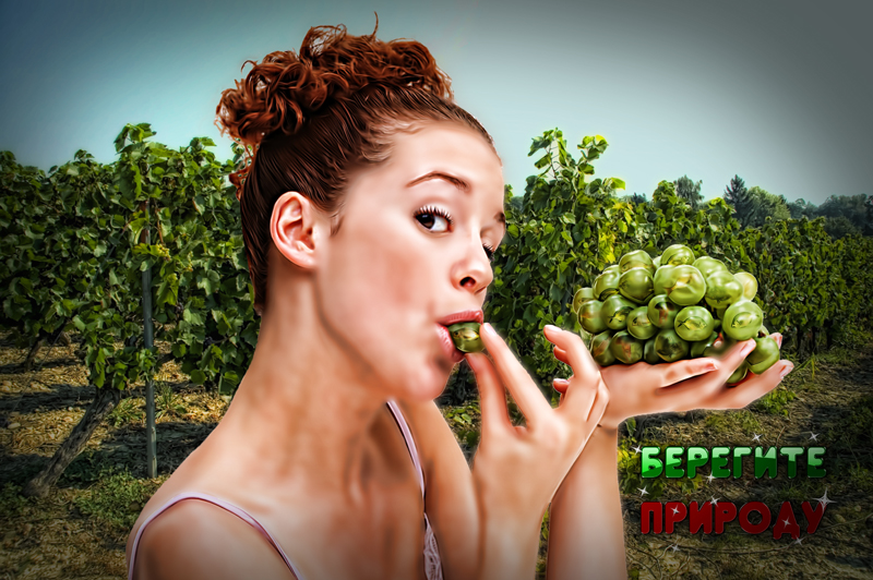 Коллаж Берегите природу