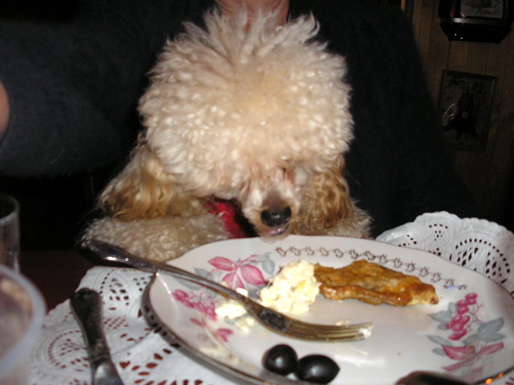 Гости ели, пили, пели ..Хорошо что не доели !