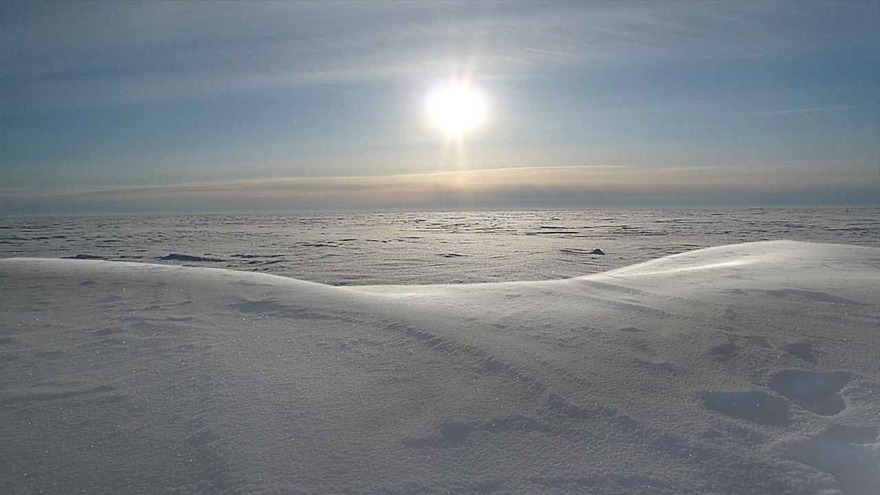 "...можете использовать нашу систему... даже на Северном Полюсе&q