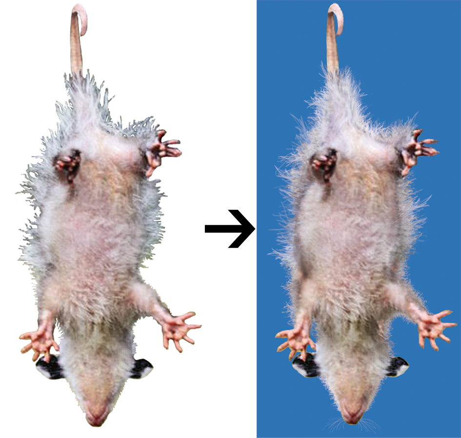 Сюжет наклейки для "Винилсервис"