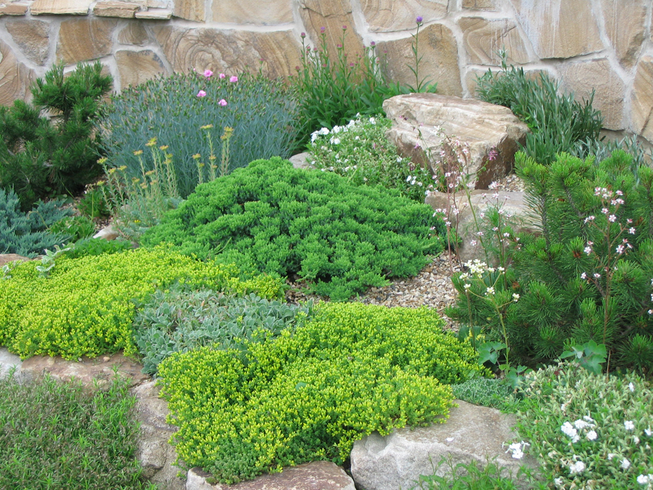 Ландшафтный дизайн