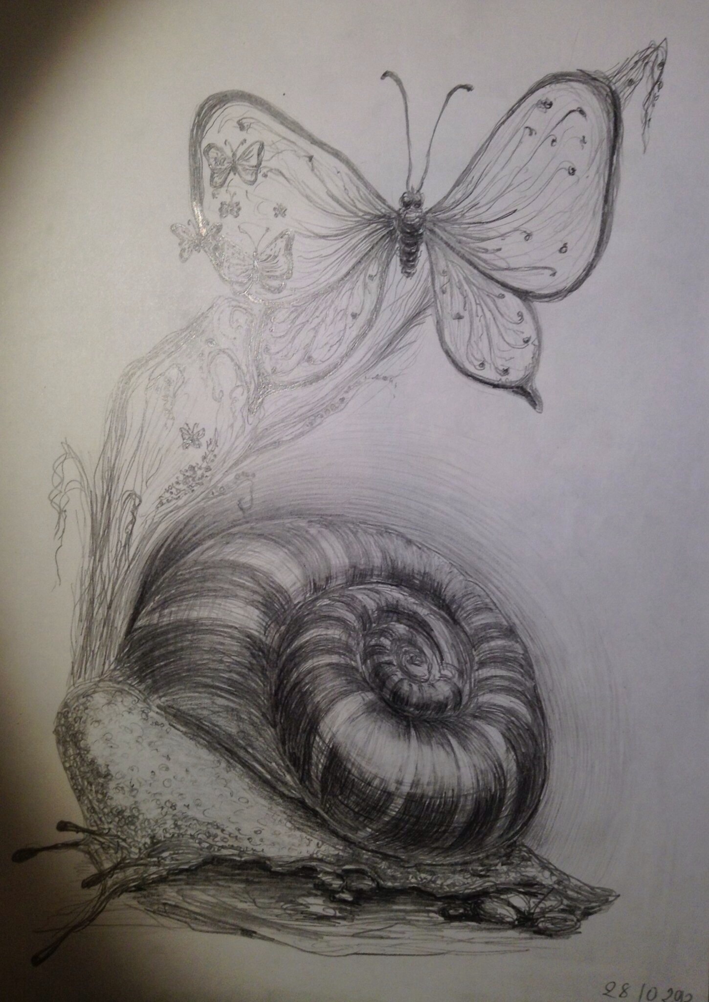 Улитка в траве