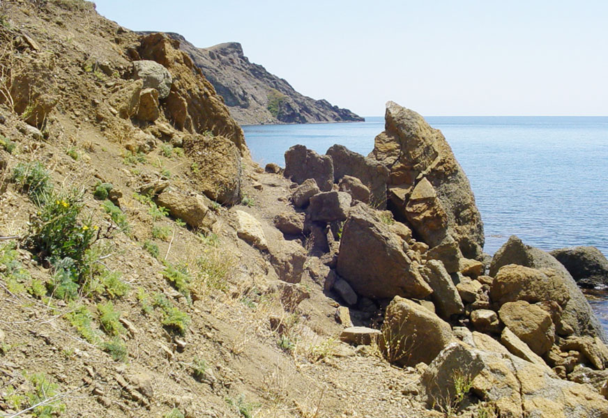 Без названия