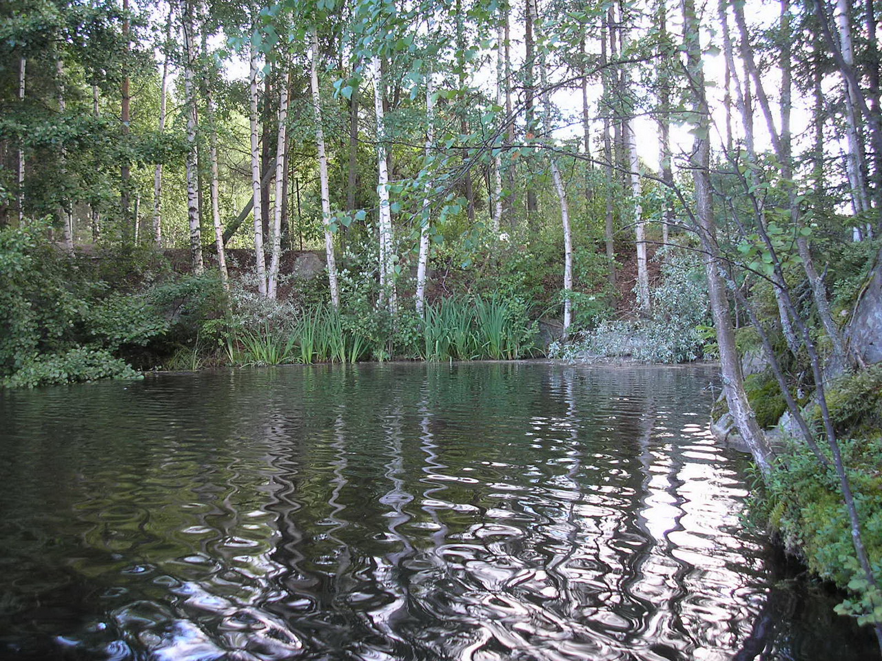 В тихой заводи