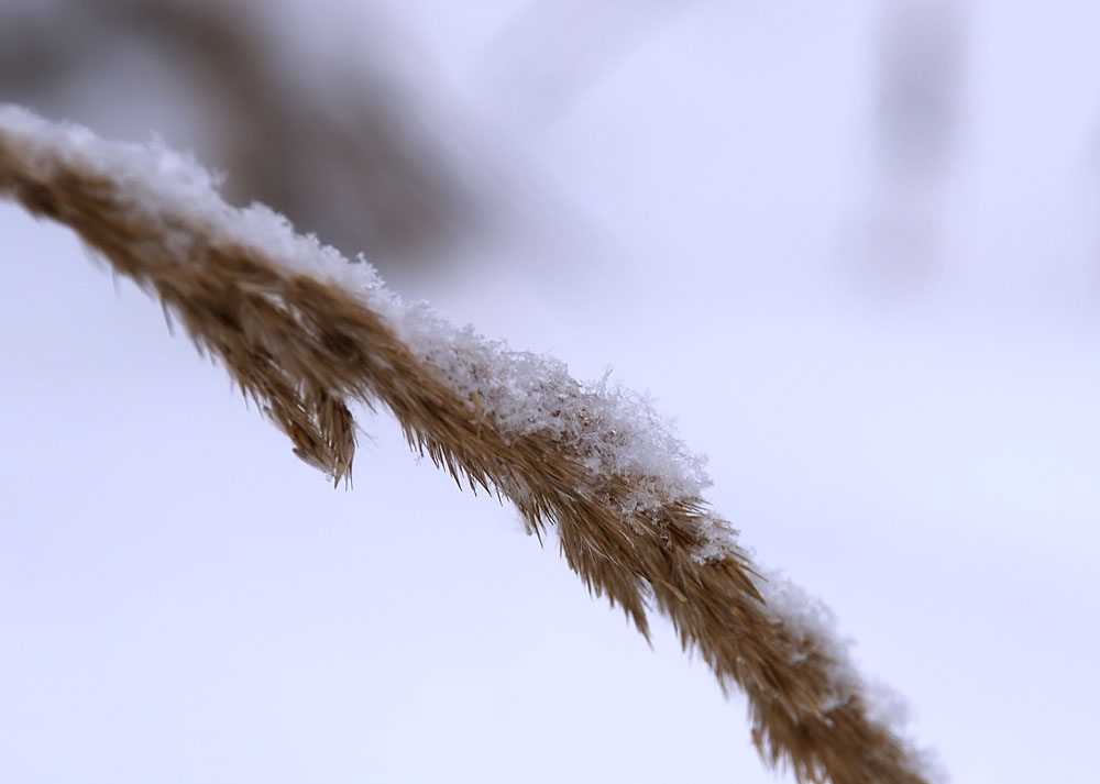 Сніговий капелюшок